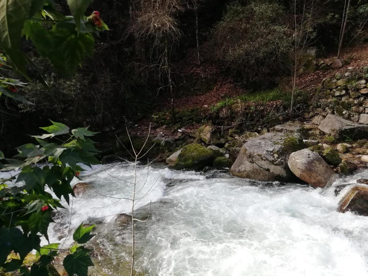 Campismo Rural Vale Dos Moinhos Geres Hotel Eksteriør billede