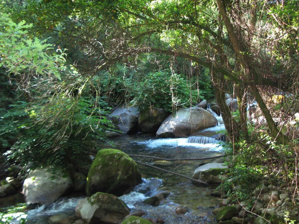 Campismo Rural Vale Dos Moinhos Geres Hotel Eksteriør billede